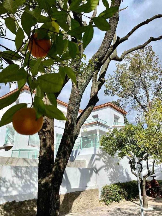 Apartmán Nuevo Los Almendros 204 Complejo Turistico Córdoba Exteriér fotografie